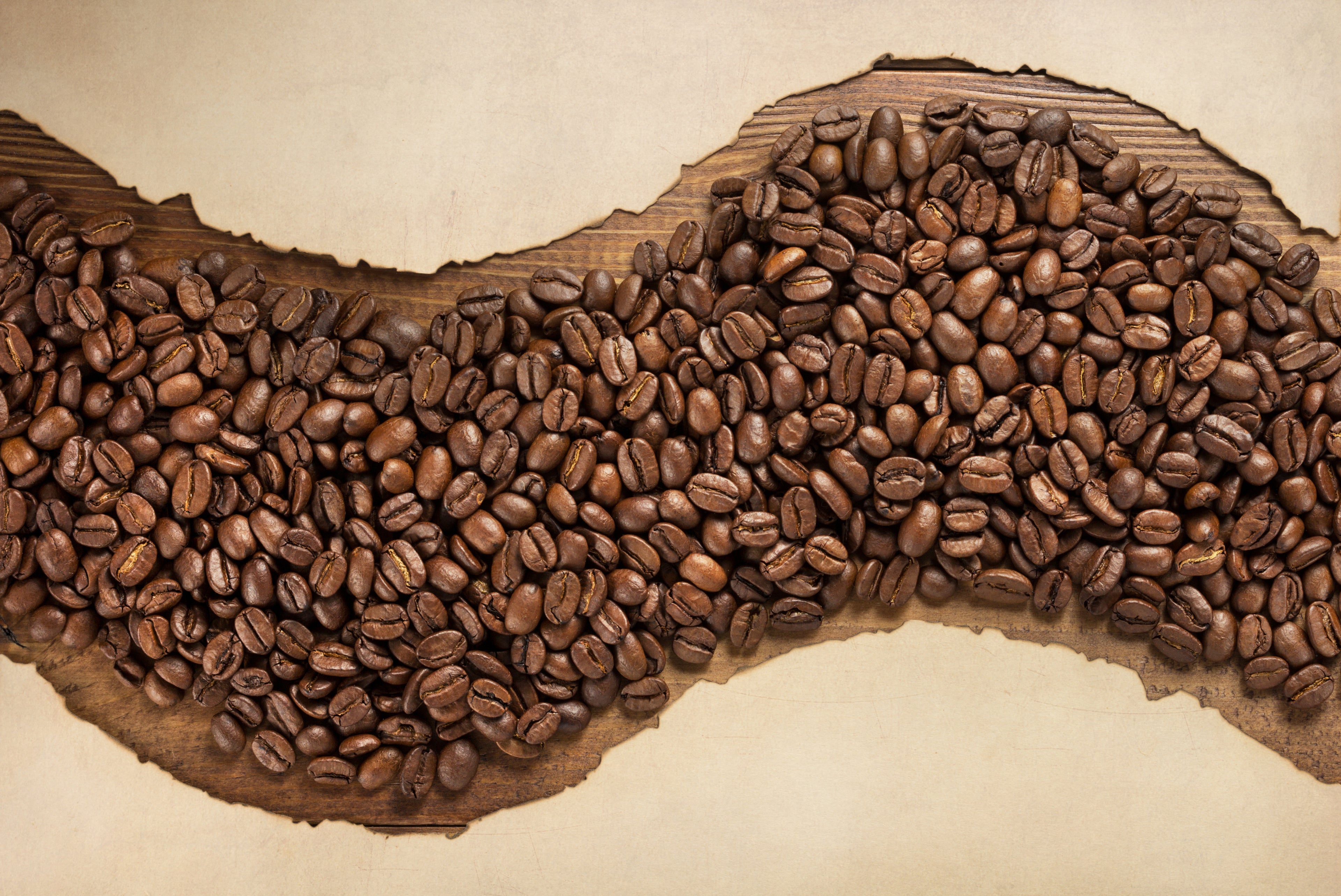 Dark roasted EverGrace 100% Arabica coffee beans arranged in a wavy shape over a torn piece of brown wood, set against a textured beige background.
