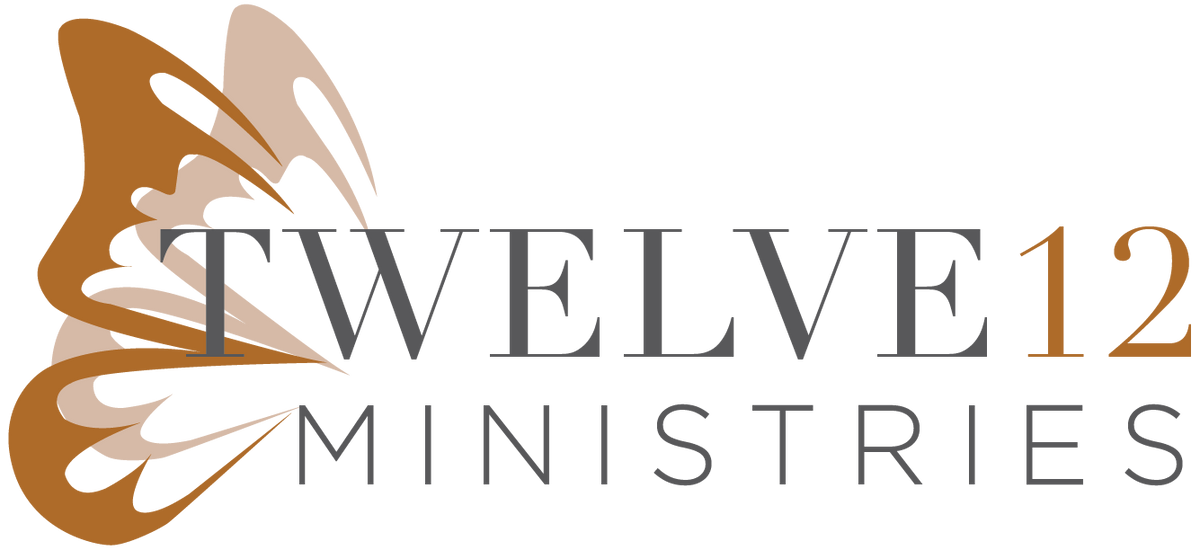 A logo for Twelve Ministries featuring a stylized brown and beige wing-like graphic on the left, with the text 'TWELVE 12 MINISTRIES' in gray and brown on a black background.