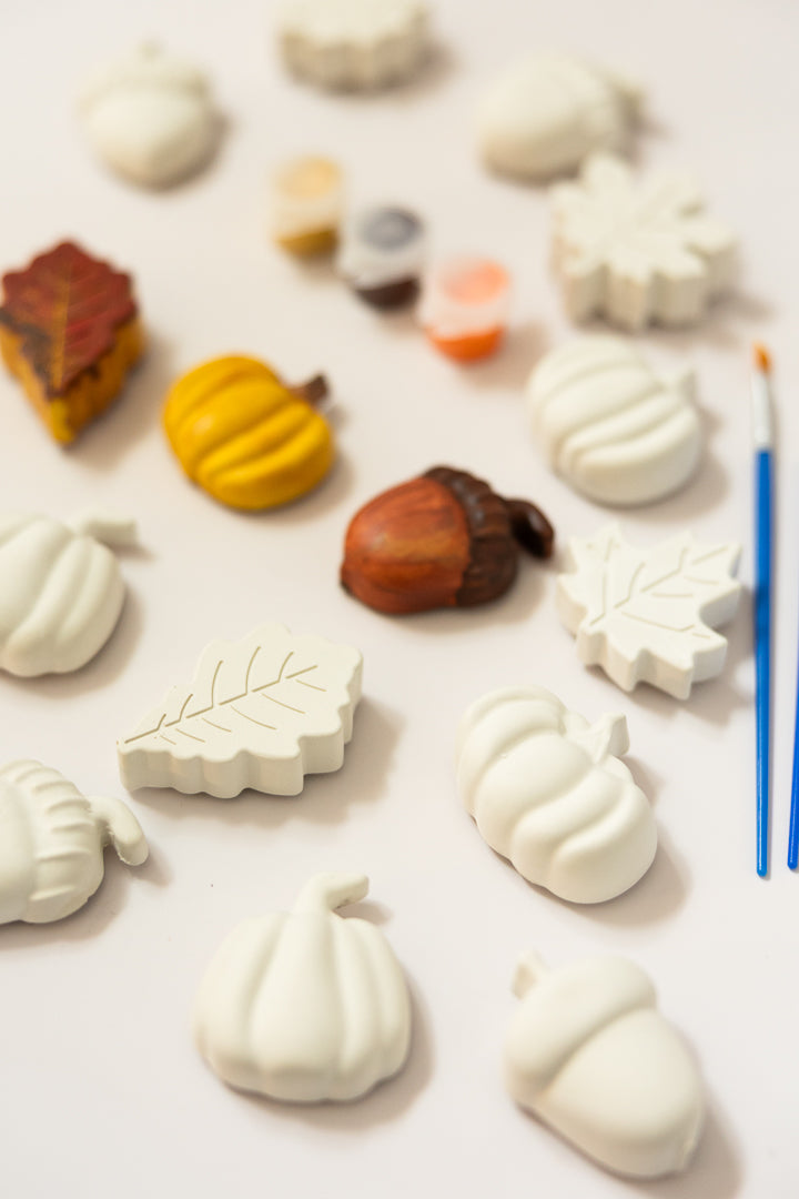 Paint-Your-Own - Fall Magnet Variety